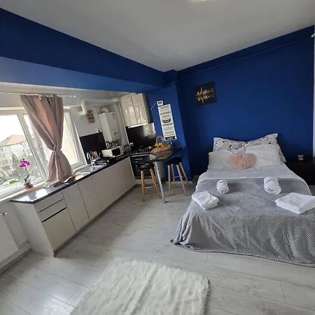 公寓 32 Bulevardul Oltenia 克拉奥华