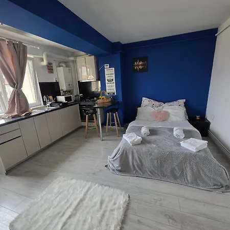 公寓 32 Bulevardul Oltenia 克拉奥华