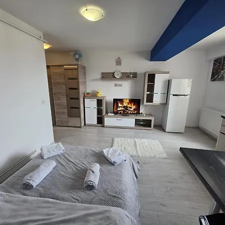 32 Bulevardul Oltenia 公寓 *