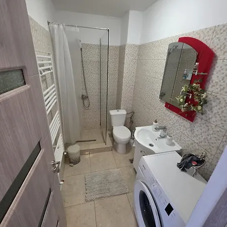 32 Bulevardul Oltenia 公寓