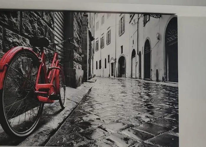 32 Bulevardul Oltenia * 克拉奥华