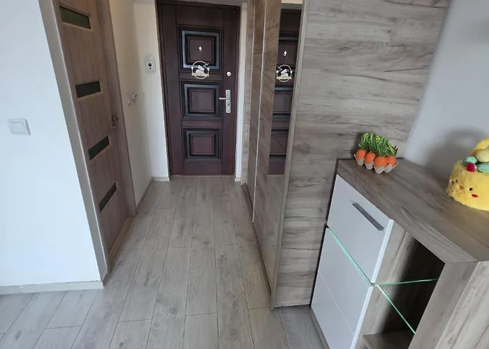 32 Bulevardul Oltenia 公寓 克拉奥华