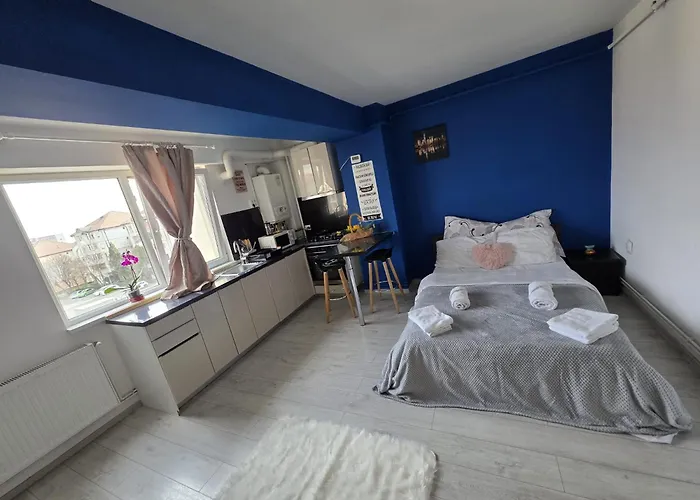 公寓 32 Bulevardul Oltenia 克拉奥华