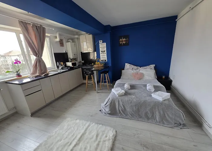 公寓 32 Bulevardul Oltenia 克拉奥华