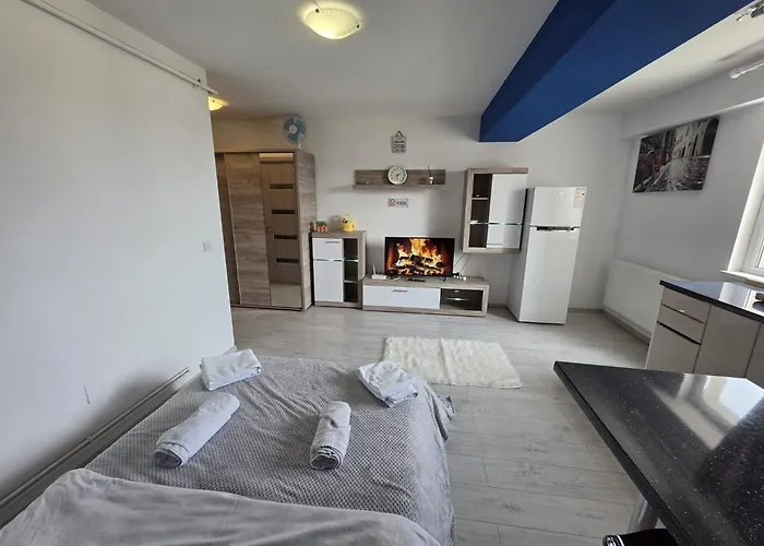 32 Bulevardul Oltenia 公寓 *